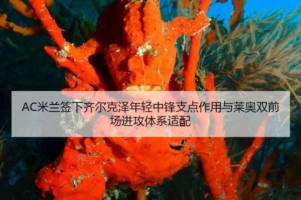 mi-lan-qian-xia-qi-er-ke-ze-nian-qing-zhong-feng-zhi-dian-zuo-yong-yu-lai-ao-shuang-qian-chang-jin-gong-ti-xi-shi-pei-3-824.jpg